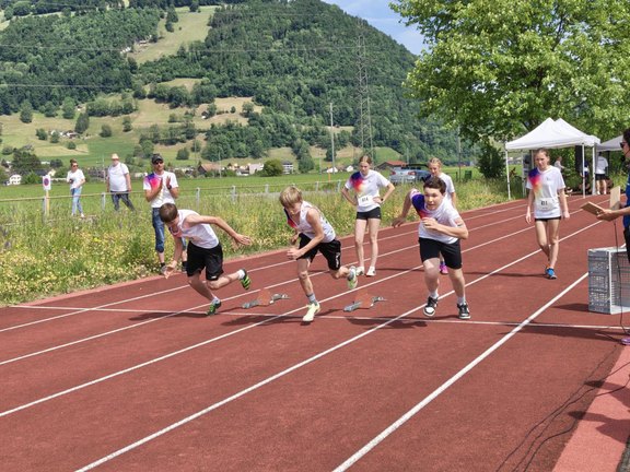 IMG_20260510_111912691_HDR.jpg  